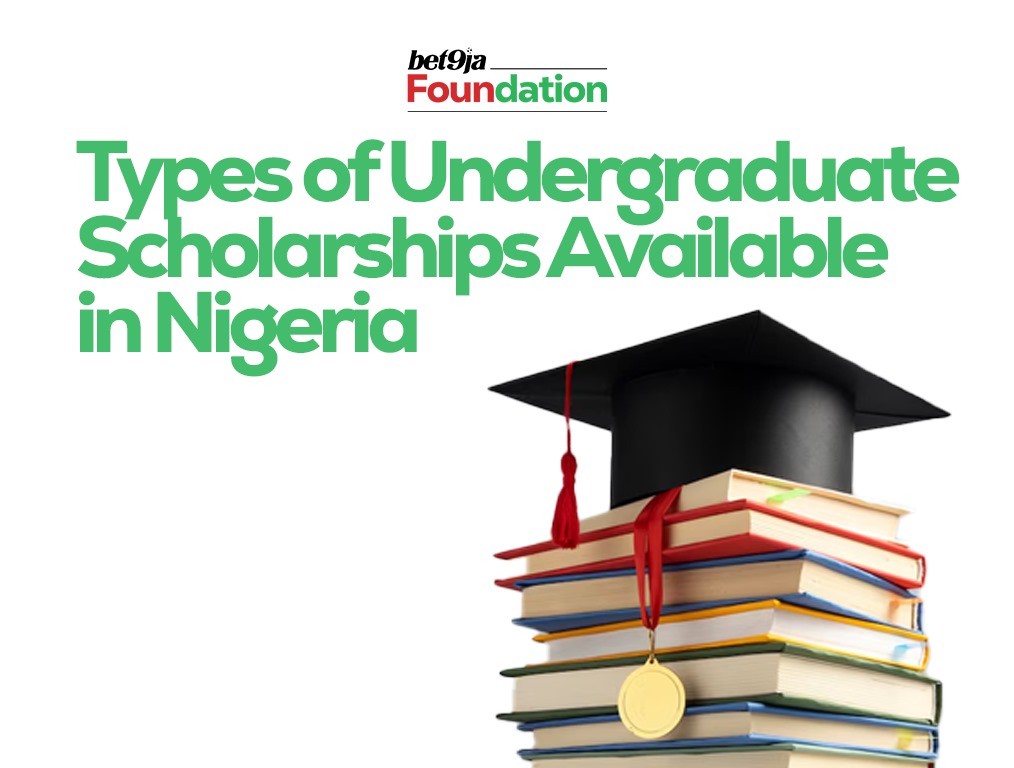 Top 17 Undergraduate Scholarships in Nigeria for 2024