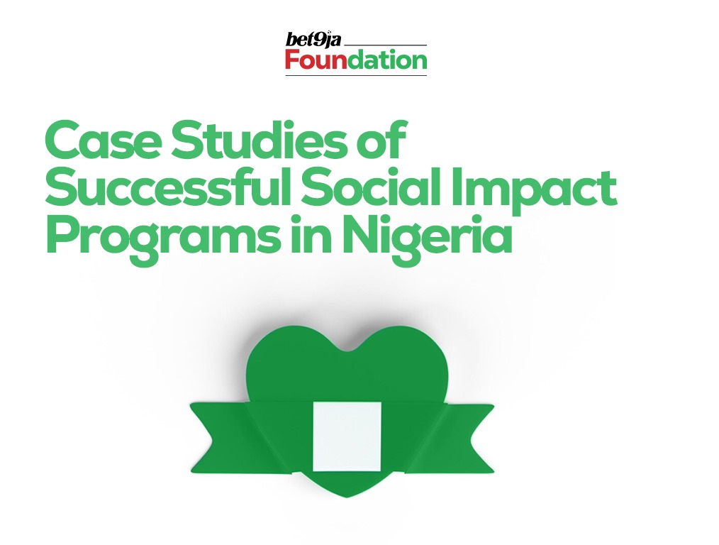 Case Studies of Successful Social Impact Programs in Nigeria