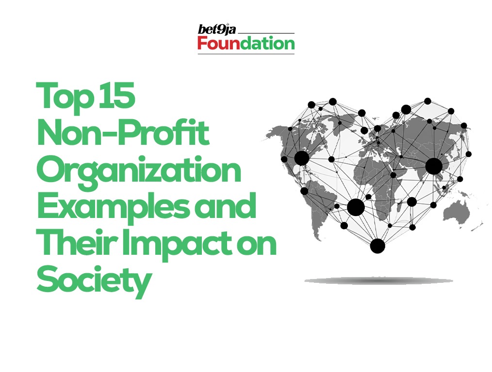 Top 15 Non-Profit Organization Examples and Their Impact on Society