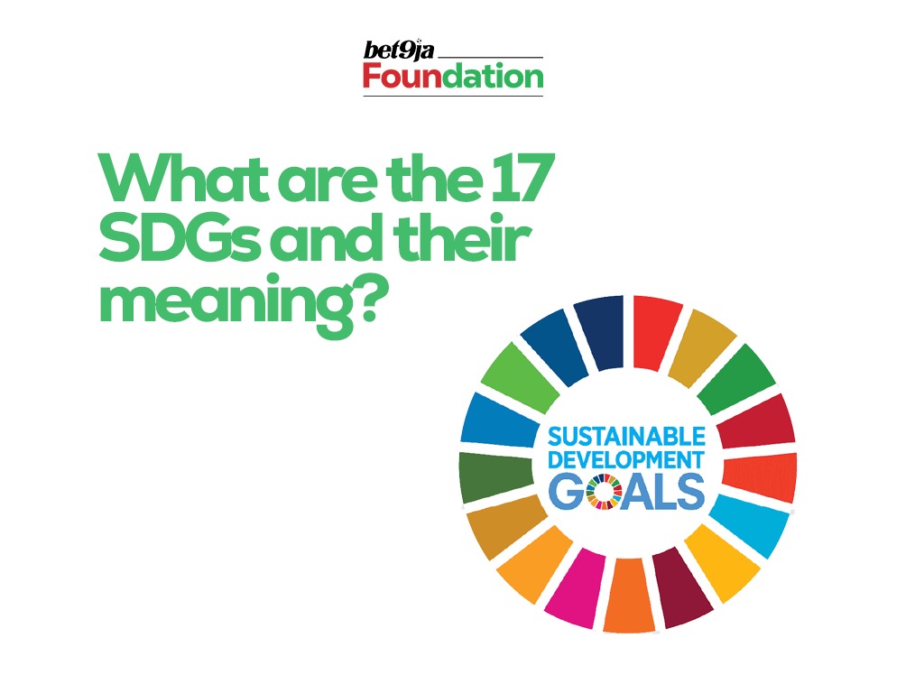 17 SDGs And Their Meaning